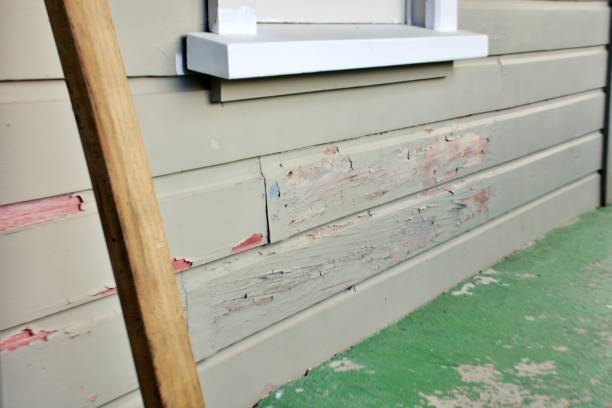 Professional Siding Installation & Repair in Mitchell, NE